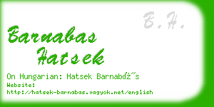 barnabas hatsek business card